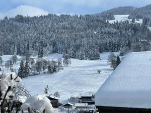 Megève - Chalet Miage