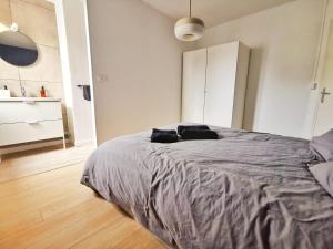 Appartements Le Contemporain (Centre - Gare - Commerces) : Appartement 1 Chambre