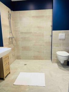 Appartements Le Spicy 2 minutes centre historique parking : photos des chambres