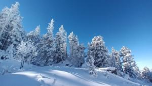 Appartements Au Chasseur : photos des chambres