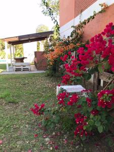 Cabañas El Chogüí