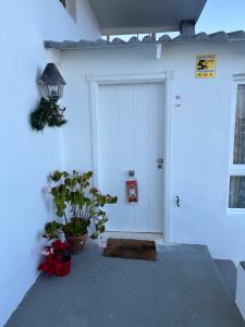 Casa La Oliva