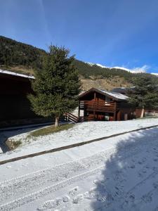 L'ORENETA - Peu del Riu 712 - Vall d'Incles - Soldeu Hut 8367