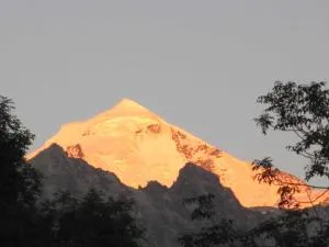 RUSO'S GuestHouse - 乌树故里