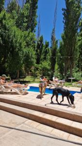 Uspallata Suites