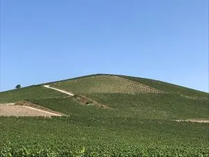 蒙特富拉姆波特住宿加早餐旅馆 - Champillon