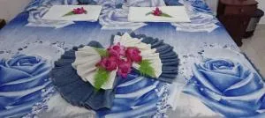 Island Dreams Home Stay Veyangoda - Gampaha