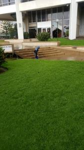 Dpto. Frente al Mar San Martín