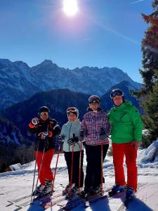 Holiday chalet "ALPINE DREAMS" with PRIVATE WELLNESS