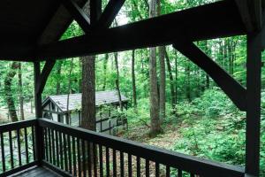 Cozy Cabin Near the Smokies #12 Carlotta