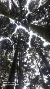 Montavilla Eden Homestay Sittong