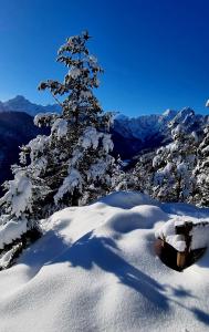 Farm Stay "Alpine Dreams"