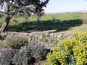 Maisons de vacances Gite Aubigne-sur-Layon, 3 pieces, 8 personnes - FR-1-622-19 : photos des chambres