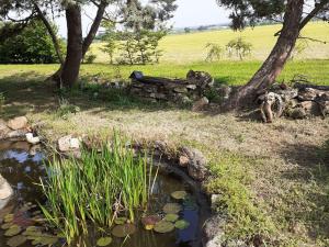 Gîte charmant avec jardin au cœur du vignoble du Layon, proche Saumur, 9 couchages, vélos inclus - FR-1-622-19