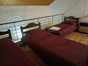 Los Lirios de Dayman