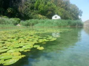 Appartements O Cocon du Lac, magnifique studio de charme 30 m2, ideal curistes : photos des chambres