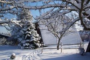 Holiday home Feriendorf Waldbrunn 1