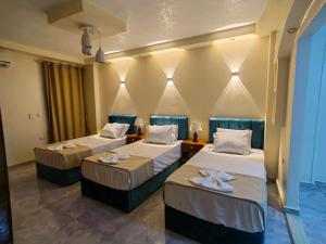 Grand Egyptian Museum View inn