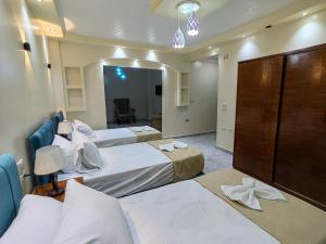 Grand Egyptian Museum View inn