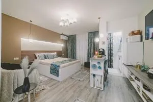 Cochet Studio - Blidarile