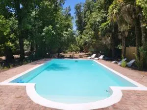 BABAJI Home - Las Tapias