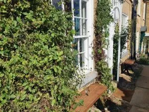 Bramblewick Cottage - 罗宾胡兹贝