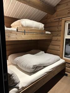 Årebjørnen - Sadelen