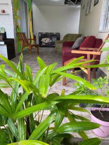 Paraíso do santinho