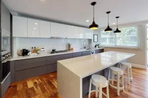 Dickens - Miguel Hidalgo