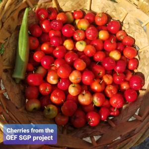 Veronica Homestay Lucea Jamaica