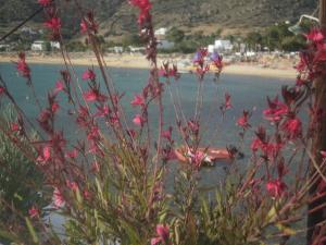 Gorgona Ios Greece