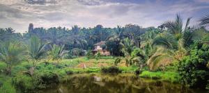 Paradise Single Room