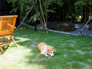 Rakuten STAY VILLA Hakone Sengokuhara