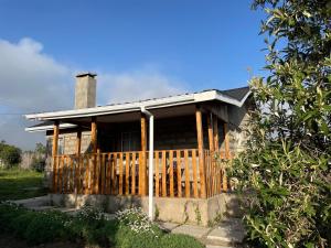 Warm and Inviting Mountain Cottage