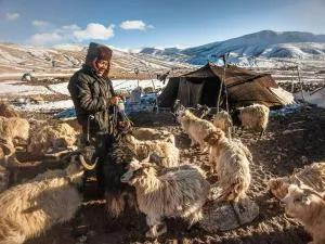 Sirijap Homestay - Karzok Gömpa