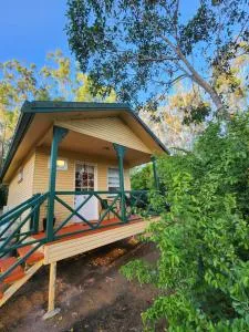 Ferns Miners Rest - Banana