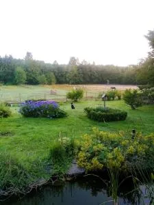 La Libellule - Bourg-Fidèle