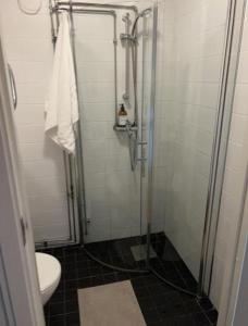 Charming Apartment in Stockholm City 913