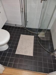 Charming Apartment in Stockholm City 913