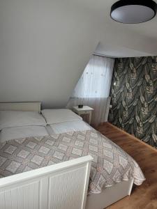Apartment Ferienwohnung Steigwaldweg