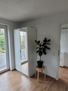 Apartment Ferienwohnung Steigwaldweg
