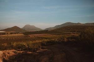 Solace Eco Cabins - Citrus Cabin