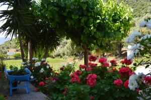 Troumpas Family Rooms & Apartments Arkadia Greece