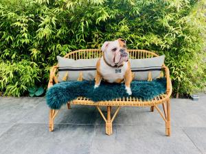 L Annexe du 10Honfleur