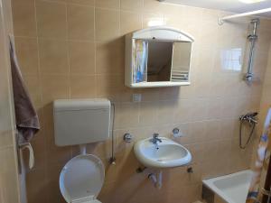 Apartmani vila Todor