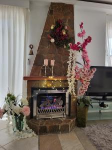 Espectacular Bajo Lirio