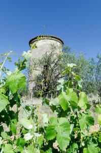 Maisons d'hotes Chateau Pech-Celeyran : photos des chambres