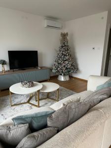 Plava Zvezda Centar Free Garage