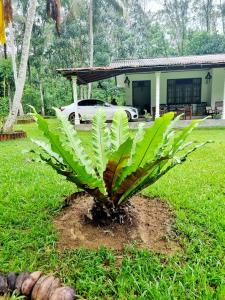 JAYANDRA HOLIDAY BUNGALOW