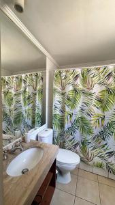 Dpto acogedor en Lastarria